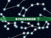 兔子刚化形被蛇囚禁，兔子刚化形就被蛇做了肉