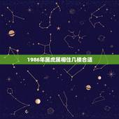 1986年属虎属相住几楼合适，属虎的女人和什么属相的人最配？