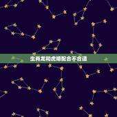 生肖龙和虎婚配合不合适，生肖龙和虎配吗