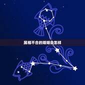 属相不合的婚姻会怎样，属猪和什么不合