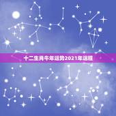 十二生肖牛年运势2021年运程，牛年运势2021年运势12生肖运势