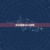 处女座猪2022运势，处女座2022年运势每月事业完整版