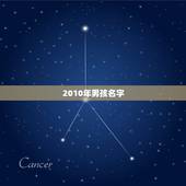 2010年男孩名字，2010年出生的男孩取名