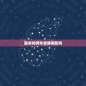 鼠年和狗年结婚相配吗，狗年男鼠年女犯冲