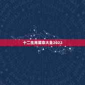 十二生肖算命大全2022，农历十二生肖每月运势