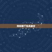 狗和哪个生肖最合，狗和什么生肖最合