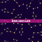属虎的人最怕什么生肖，属虎人一辈子最怕什么属相
