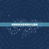 郑爽的前夫张恒是什么属相，郑爽老公张恒是谁？