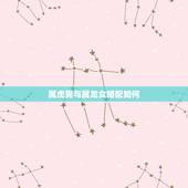 属虎男与属龙女婚配如何，属龙女和属虎男的婚姻？