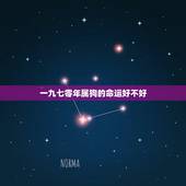 一九七零年属狗的命运好不好，一九七零属狗一生命运