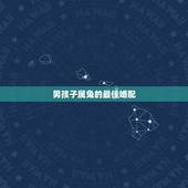 男孩子属兔的最佳婚配，属兔的男人和什么属相最般配