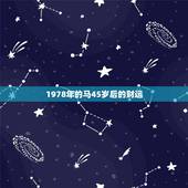 1978年的马45岁后的财运，1978年马，男45岁以后会有财运吗？