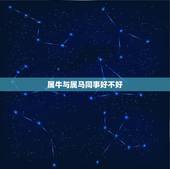 属牛与属马同事好不好，属牛的更佳事业搭档