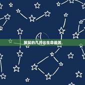 属鼠的几月出生命最苦，最享福的鼠是几月