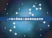 十鼠九苦属鼠人最命苦的出生月份，不同月份出生的属鼠人是什么命运，命运如