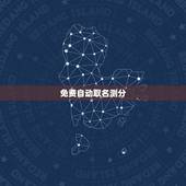 免费自动取名测分，免费取名字测试