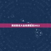男孩取名大全免费取名2022，2022年虎年男孩取名大全