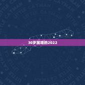 30岁属啥的2022，2022 年30岁今年属什么