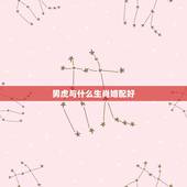 男虎与什么生肖婚配好，男的属牛配什么属相