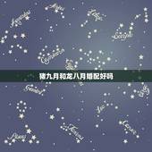 猪九月和龙八月婚配好吗，猪和龙相配吗？谢谢