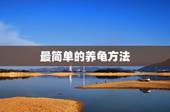 最简单的养龟方法，怎么简单的养乌龟