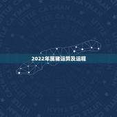 2022年属猪运势及运程，2022属兔每月运势