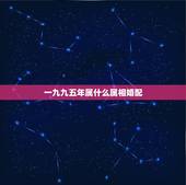 一九九五年属什么属相婚配，1990年属马的和什么属相相配好