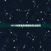 1975年属兔的婚姻和命运如何，1975年属兔的婚姻和命运如何
