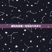 属马的是哪一年生的今年多大，78年属马人一生财运