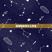 属相婚配有什么规律，属猴的和什么属相最相配 12属相婚配表