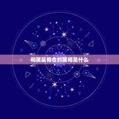 和属鼠相合的属相是什么，属鼠和什么属相合财