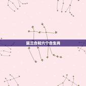 鼠三合和六个合生肖，属相三合好还是六合好