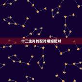 十二生肖的配对婚姻配对，十二生肖配对姻缘合婚是真还是假？