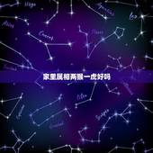 家里属相两猴一虎好吗，一家两猴一虎一鸡好不好