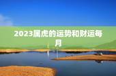 2023属虎的运势和财运每月，2022 属虎人财运方向