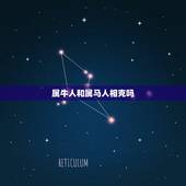 属牛人和属马人相克吗，男属牛和女属马相克么