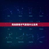 竞选属相才气豪是什么生肖，竞选属相才气豪是指什么动物呢？