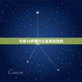 今年16岁属什么生肖出生的，今年16岁生肖是什么