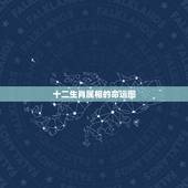 十二生肖属相的命运图，12生肖什么各是什么命