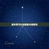 属羊男可以和属猴女婚配吗，女属猴的和男属羊的配婚可以吗