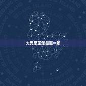 大元至正年是哪一年，大元国至正八年制图片
