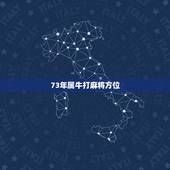 73年属牛打麻将方位，属牛打麻将的方位
