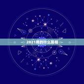 2021用的什么属相，2021年什么属相才会有好的运势啊？