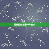 属猴的都是哪一年生的，1992年属猴是什么命