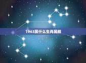 1963属什么生肖属相，1963年属什么，1963年属相
