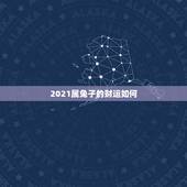 2021属兔子的财运如何，属兔的今年运势怎么样2021