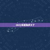 2022年属兔多大了，属兔2022年多大虚岁