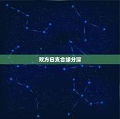 双方日支合缘分深，有同时双冲双合的八字吗，怎么解？
