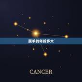 属羊的年龄多大，属马的年龄多大