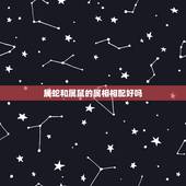属蛇和属鼠的属相相配好吗，属鼠的人和属蛇的相配吗？